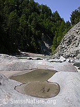 Photo: Pfütze in Gletscherschliff