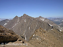 F012564: Turbhorn: Blinnenhorn