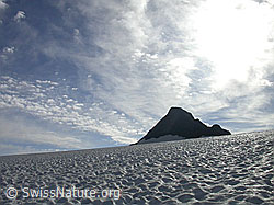 F013168: Rappegletscher: Gletscher und Pyramide