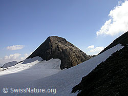 F013217: Ober Rappehorn mit Rappegletscher