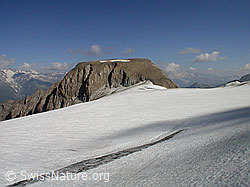 F013220: Rappehorn und Rappegletscher