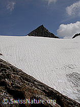F013255: Gletscher und Bergspitze