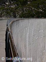 F013802: Staumauer des Zervreilasee