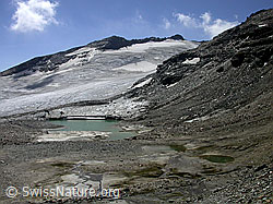 Photo: Fanellgletscher mit Gletschersee