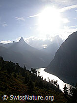 F014343: Zervreilahorn und Zervreilasee im Gegenlicht