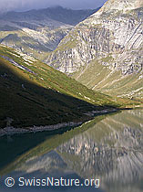 F014421: Morgenstimmung mit Spiegelung im Zervreilasee