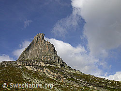 F014451: Zervreilahorn