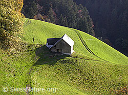 F014672: Stall im Emmental