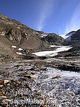 F017061: Dünne Eisschicht über Bergbach in Schwemmebene