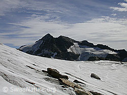 F017174: Gletscherplateau und Ofenhorn