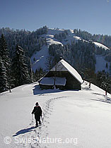 F018161: Schneeschuläuferin in Winterlandschaft mit Hütte