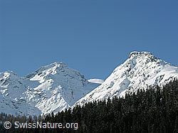 F022186: Schwarzhorn und Stockhorn in frischem Weis