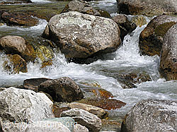 F022578: Klares, sprudelndes Wasser in Bergbach