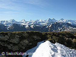 F022824: Am Hohgant: Berner Alpen