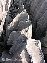 F023116: Relief