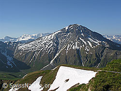 F023294: Albristhorn vom Rauflihorn