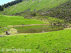 F023423: Grimmisee