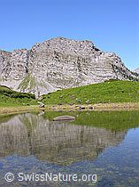F023427: Bergsee mit Spiegelung eines Berges