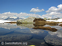 F023603: Spiegelung von Felsplatten in Bergsee