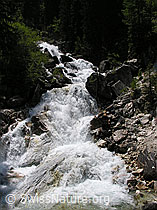 F023655: Mässerbach, Binntal