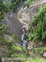 F023719: Tiefblick in Twingischlucht, Binntal