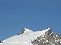 F023883: Geisshorn