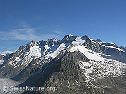 F023898: Eggishorn