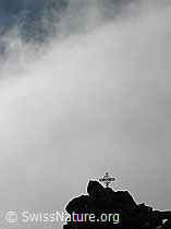 F023906: Gipfelkreuz Eggishorn