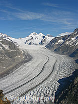 F023940: Aletschgletscher vom Eggishorn