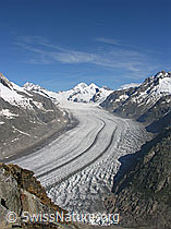 F023941: Aletschgletscher