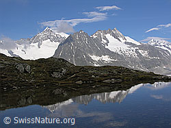 F023967: Spiegelung Dreieckhorn mit Spiegelung in Bergsee
