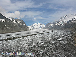 F024016: Aletschgletscher