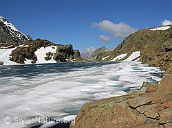 F024194: Züesee, Binntal