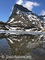 F024204: Spiegelung des Rothorns im Geisspfadsee