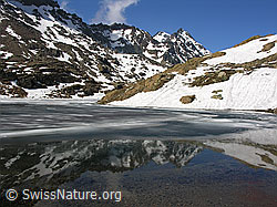 F024207: Bergsee mit Spiegelung und Eisflächen