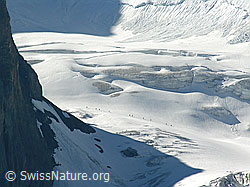 Foto: Alpinisten unterwegs auf dem Blüemlisalpgletscher