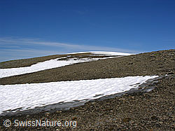 F024445: Bundstock