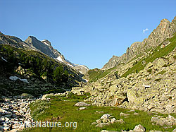 F025459: Mättital