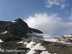 F025498: Mättital: Hillehorn und Mättitalgletscher