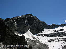 F025965: Wannigletscher, Scherbadung und Passo degli Ometti