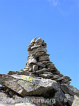 F026215: Steinmann auf dem Risihorn