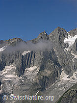F026236: Südgrat des Klein Wannenhorns