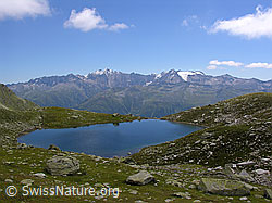 F026250: Mittelsee, Blinnenhorn und Rappehorn