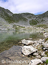 F026256: Lengsee