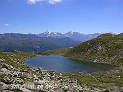 F026265: Mittelsee, Bellwald