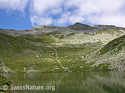 F026278: Mittelsee, Bellwald, mit schwacher Spiegelung