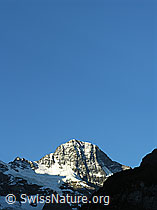 F026312: Lauterbrunnen Breithorn