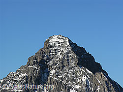 F026317: Gspaltenhorn
