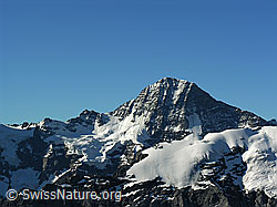 F026331: Lauterbrunnen Breithorn