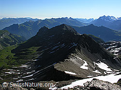 F026373: Bietenhorn
